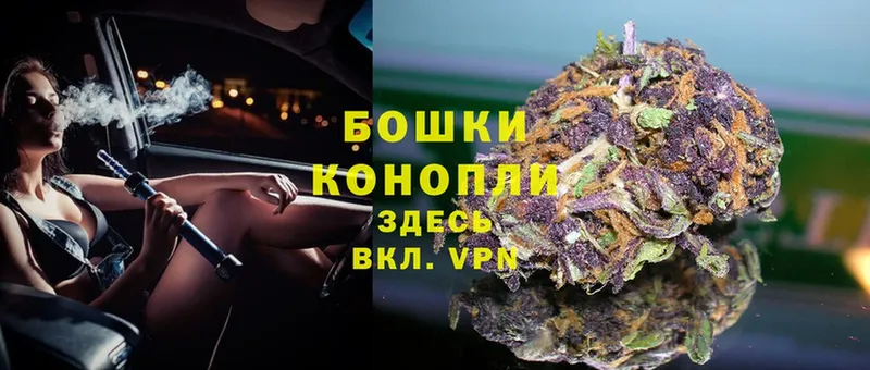 это наркотические препараты  продажа наркотиков  Лесосибирск  Канабис OG Kush 